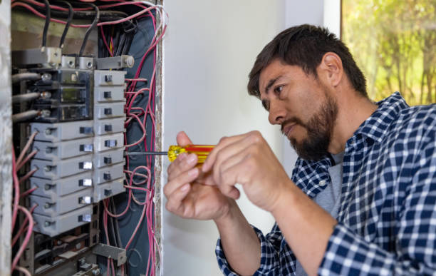 Best Electric Panel Repair  in Roebling, NJ